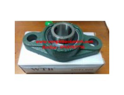 VÒNG BI UCFL305 VÒNG BI UCFL305